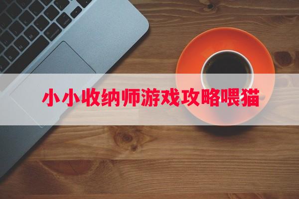 小小收纳师游戏攻略喂猫