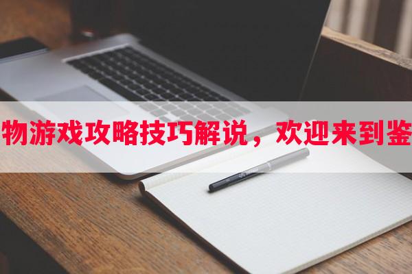 鉴卖宝物游戏攻略技巧解说，欢迎来到鉴宝游戏