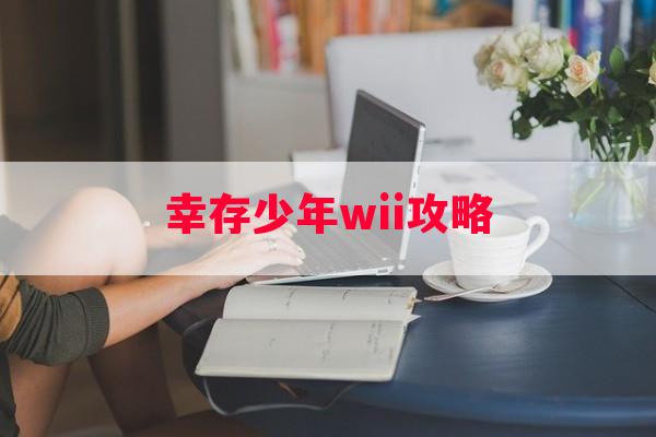 幸存少年wii攻略