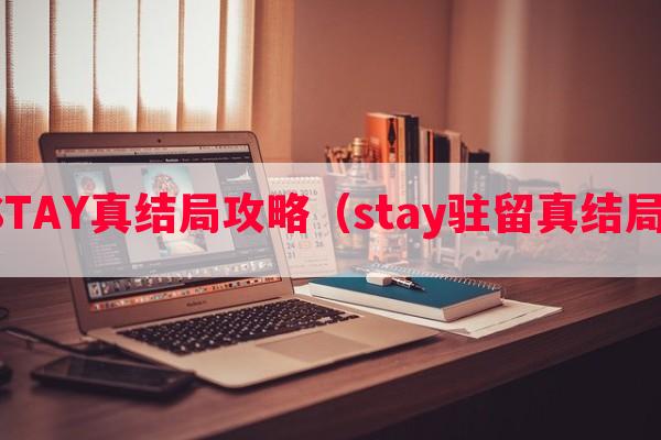 STAY真结局攻略（stay驻留真结局）