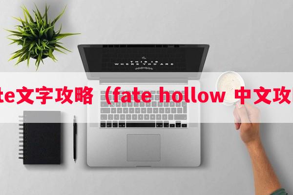 fate文字攻略（fate hollow 中文攻略）