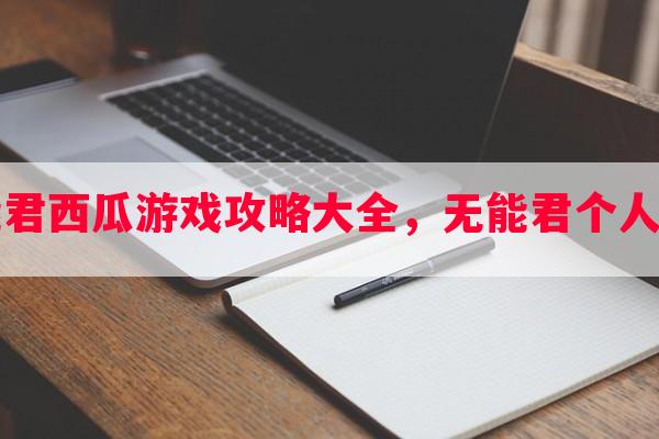 无能君西瓜游戏攻略大全，无能君个人西瓜