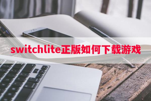 switchlite正版如何秘籍游戏