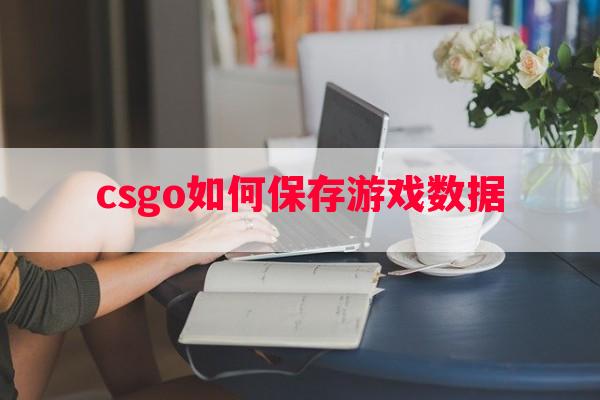 csgo如何保存游戏数据