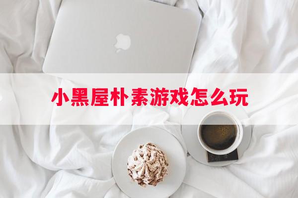 小黑屋朴素游戏怎么玩