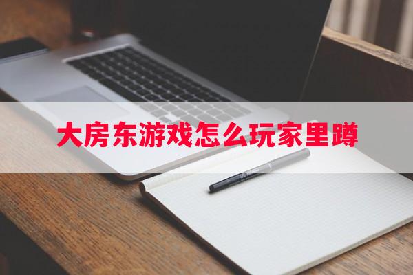 大房东游戏怎么玩家里蹲