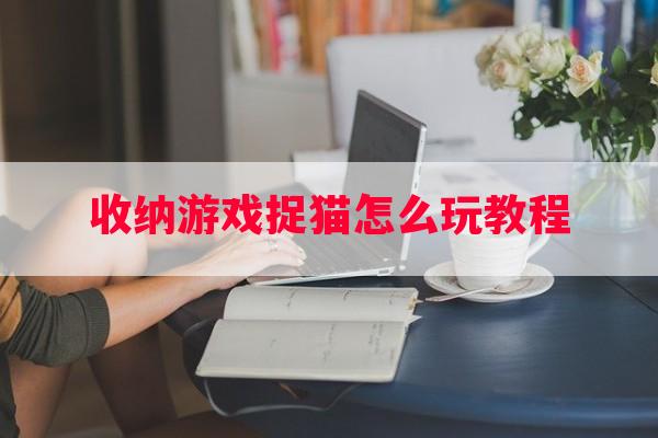 收纳游戏捉猫怎么玩教程