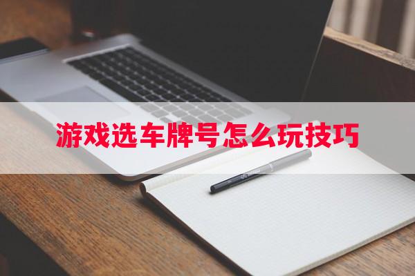 游戏选车牌号怎么玩技巧