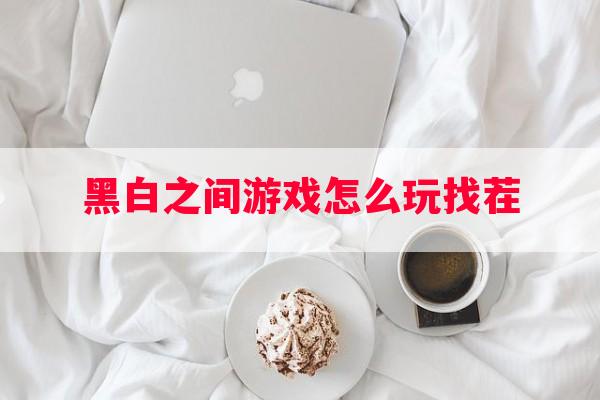 黑白之间游戏怎么玩找茬