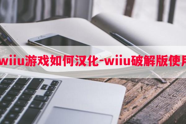  破解wiiu游戏如何汉化-wiiu破解版使用教程