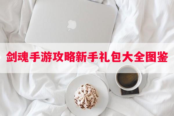 剑魂手游攻略新手礼包大全图鉴