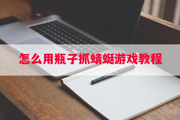 怎么用瓶子抓蜻蜓游戏教程