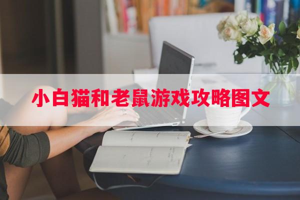 小白猫和老鼠游戏攻略图文