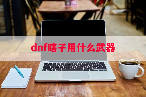 dnf瞎子用什么武器