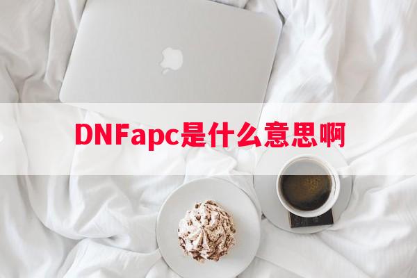 DNFapc是什么意思啊