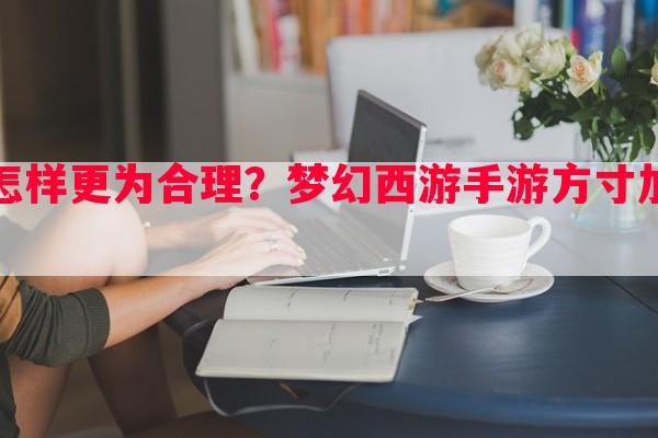 无底洞孩子加点怎样更为合理？梦幻西游手游方寸加点要遵循哪些原则？