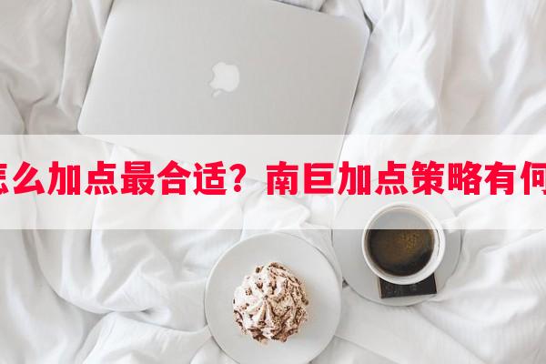 石魔怎么加点最合适？南巨加点策略有何不同？