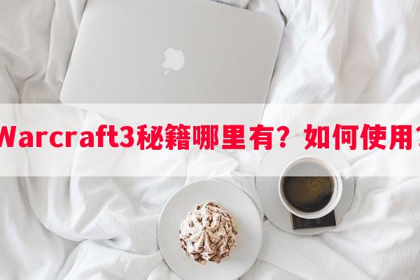 Warcraft3秘籍哪里有？如何使用？