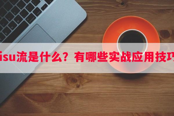 Bisu流是什么？有哪些实战应用技巧？